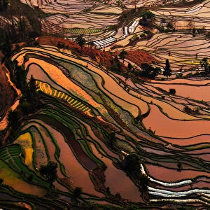 UNESCO World Heritage Framed Print Collection: Yuanyang Rice Terraces
