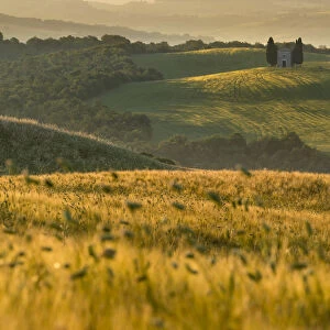 Tuscan fields in summer season