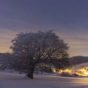 View of the village of Hofsgrund, in winter at night, Hofsgrund, Oberried -Breisgau-, Baden-Wuerttemberg, Germany