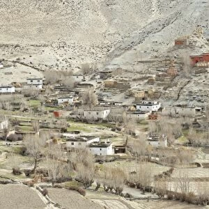 The village of Geling with the Tashi Choeling Gompa, fields at front, Gieling, Upper Mustang, Lo, Nepal
