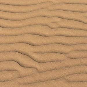 Wave pattern in the sand, Sossusvlei, Namib-Naukluft National Park, Namibia