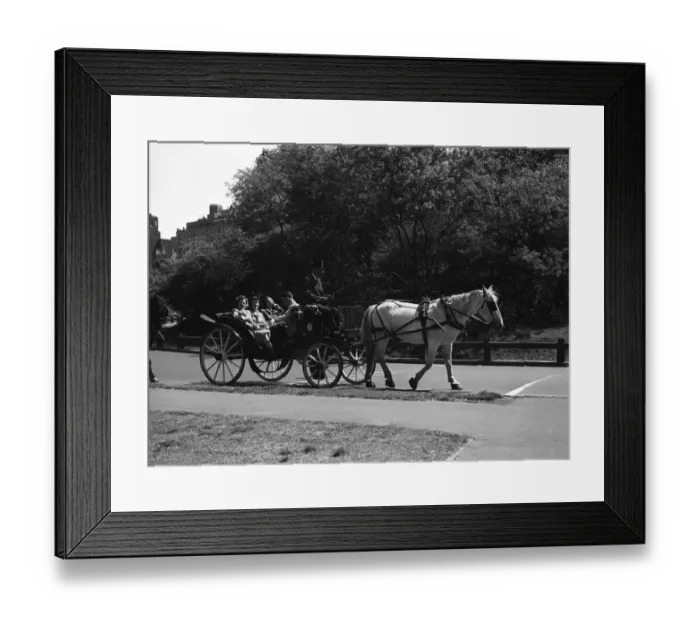Framed Print : USA, New York State, new York, Central Park, people in cart Framed Print : USA, New York State, new York, Central Park, people in cart