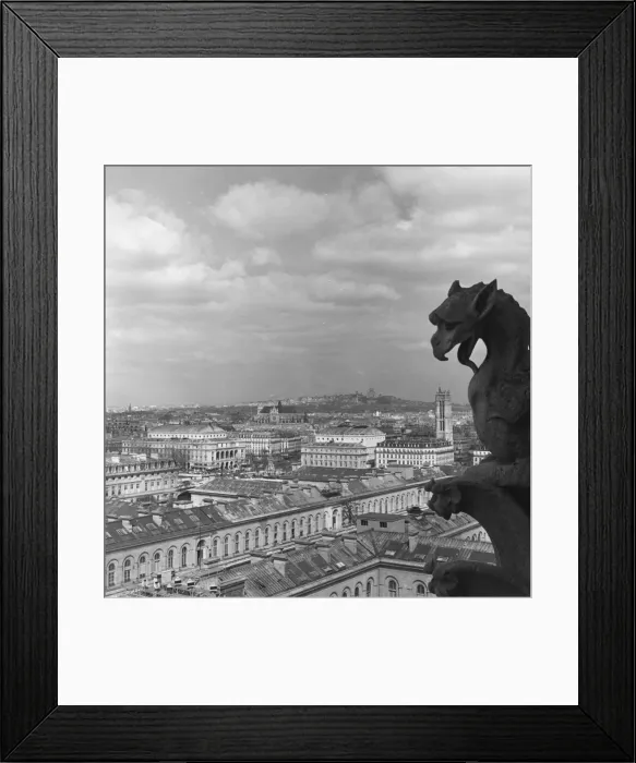 Framed Print : Parisian Rooftops Framed Print : Parisian Rooftops