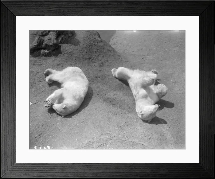 Framed Print : Heat Stroke Framed Print : Heat Stroke