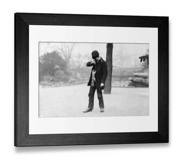 Framed Print : Grey Squirrel Framed Print : Grey Squirrel