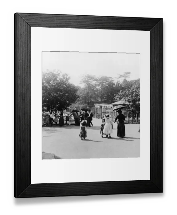 Framed Print : Children At Central Park Zoo Framed Print : Children At Central Park Zoo