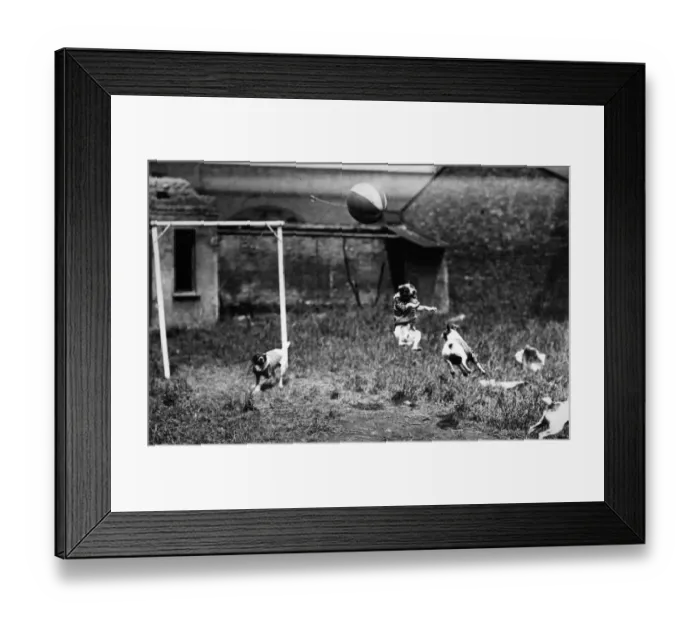 Framed Print : Football Crazy Framed Print : Football Crazy