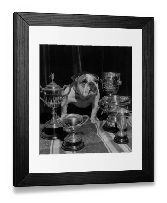 Framed Print : Just You Try Framed Print : Just You Try