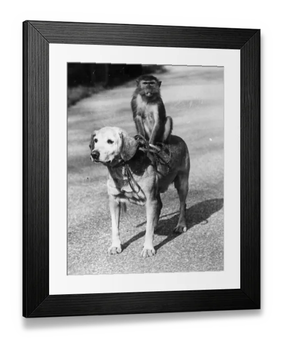 Framed Print : First Class Travel Framed Print : First Class Travel