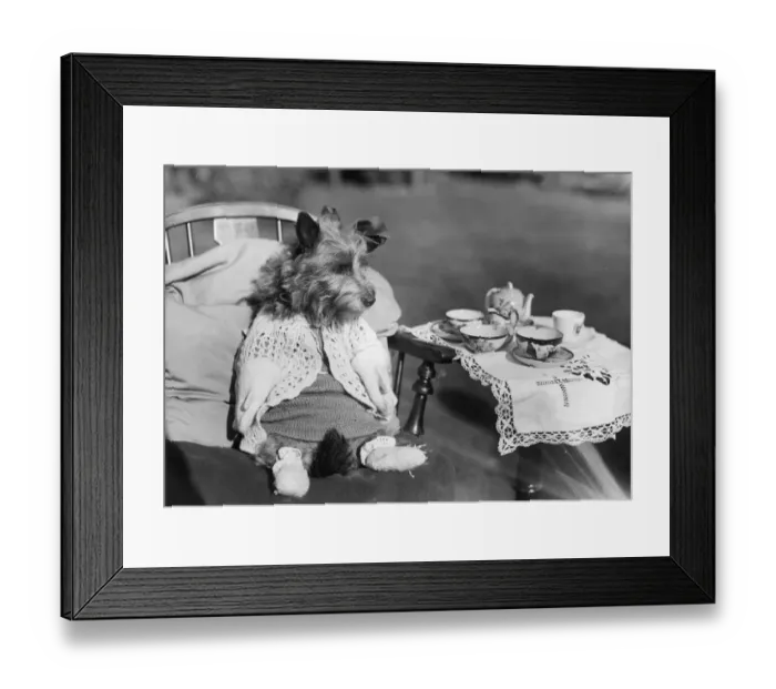 Framed Print : Puppy Picnic Framed Print : Puppy Picnic