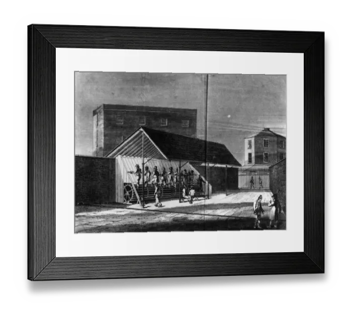 Framed Print : Exercise Yard Framed Print : Exercise Yard