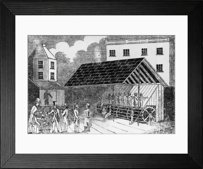 Framed Print : Exercise Yard Framed Print : Exercise Yard