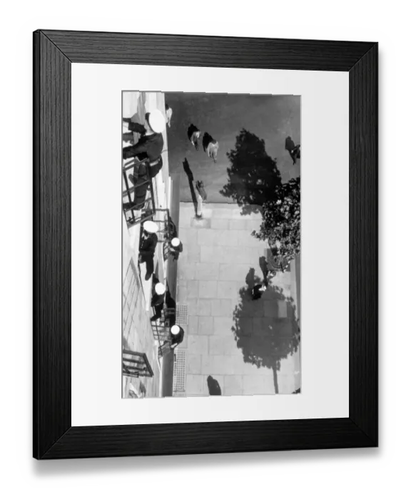 Framed Print : Window Cleaning Framed Print : Window Cleaning