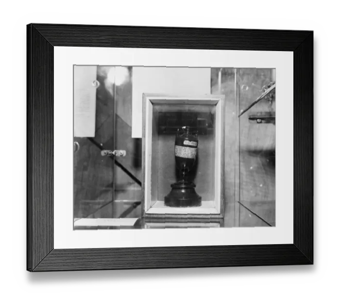 Framed Print : The Ashes. circa 1880: The Ashes cricket trophy at the London Exhibition Framed Print : The Ashes. circa 1880: The Ashes cricket trophy at the London Exhibition