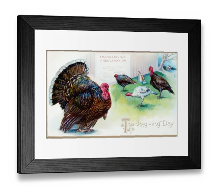 Framed Print : Thanksgiving Day Turkey Framed Print : Thanksgiving Day Turkey