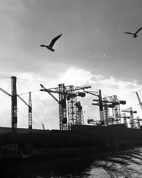 Clydside Docks; Cranes and seagulls silhouetted against the sky