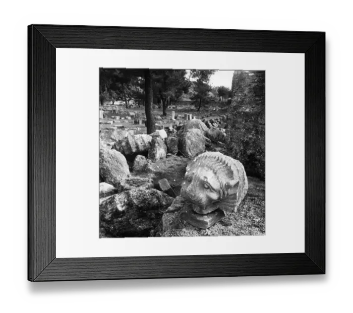 Framed Print : A carved lions head amongst the ruins of the bouleuterion or council chamber at Olympia Framed Print : A carved lions head amongst the ruins of the bouleuterion or council chamber at Olympia