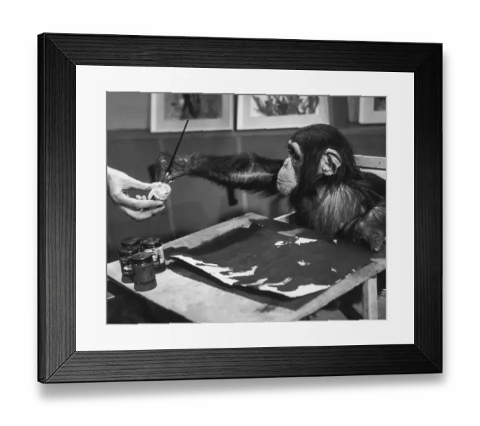 Framed Print : Artistic Primate Framed Print : Artistic Primate