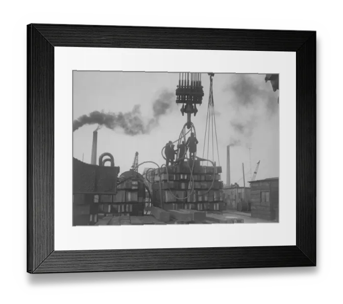 Framed Print : Suspension Crane Framed Print : Suspension Crane