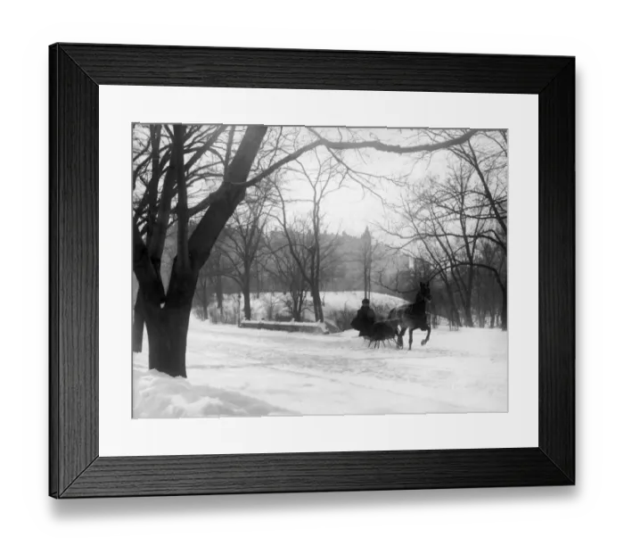 Framed Print : Central Park Sleigh Framed Print : Central Park Sleigh