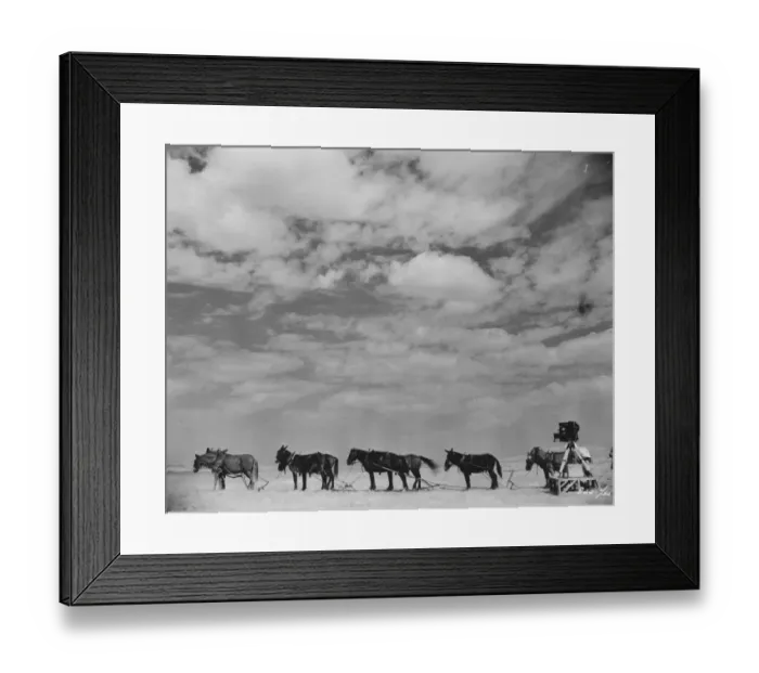 Framed Print : Fighting Caravans Framed Print : Fighting Caravans