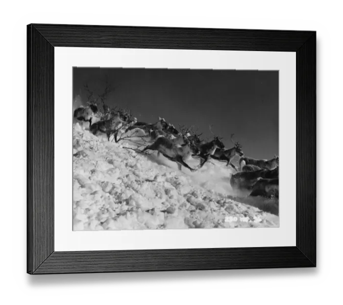 Framed Print : Valley Of Eagles Framed Print : Valley Of Eagles