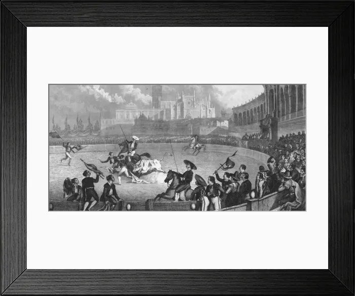 Framed Print : Bullfight In Seville Framed Print : Bullfight In Seville