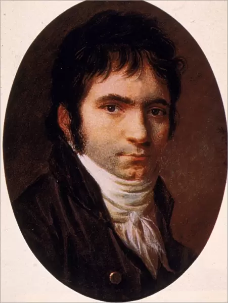 Portrait Of Beethoven