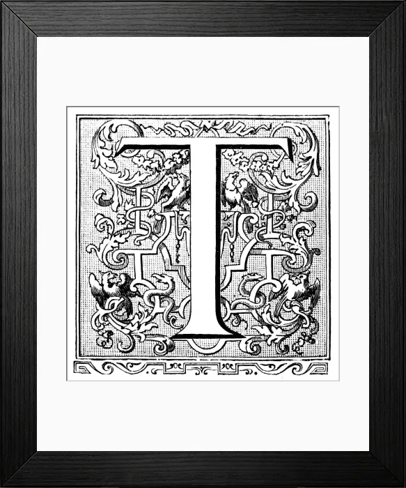 Framed Print : Antique illustration of ornate letter T Framed Print : Antique illustration of ornate letter T