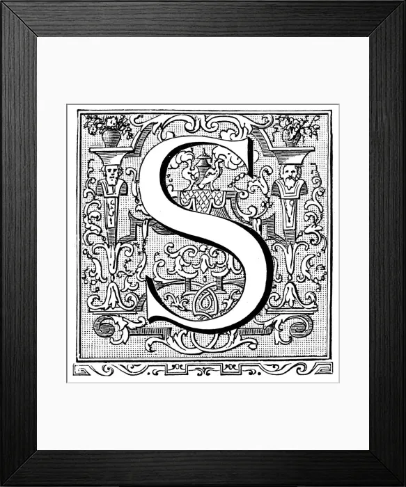 Framed Print : Antique illustration of ornate letter S Framed Print : Antique illustration of ornate letter S