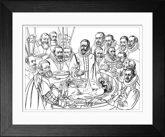 Framed Print : Antique illustration of 17th century anatomy lesson Framed Print : Antique illustration of 17th century anatomy lesson
