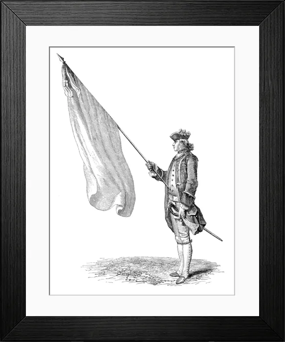 Framed Print : Antique illustration of soldier with large flag Framed Print : Antique illustration of soldier with large flag