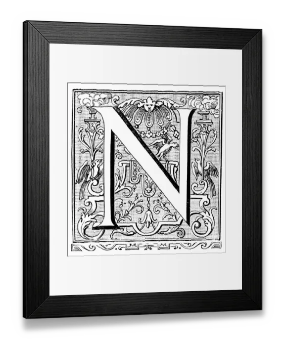 Framed Print : Antique illustration of ornate letter N