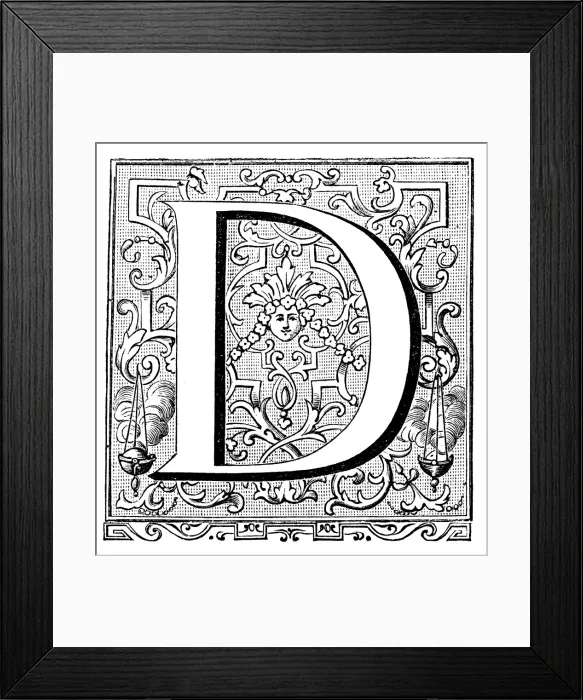 Framed Print : Antique illustration of ornate letter D Framed Print : Antique illustration of ornate letter D