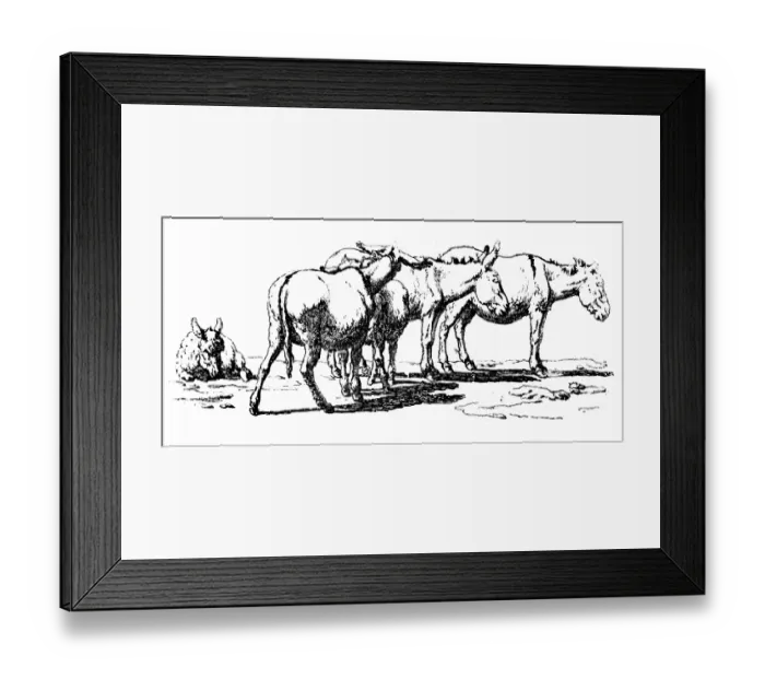 Framed Print : Antique illustration of donkeys resting Framed Print : Antique illustration of donkeys resting