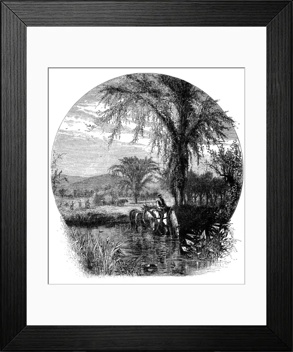 Framed Print : Antique illustration of fields and White Mountains (New Hampshire) Framed Print : Antique illustration of fields and White Mountains (New Hampshire)