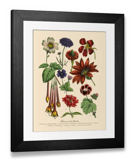 Framed Print : 19th Century Art Framed Print : 19th Century Art