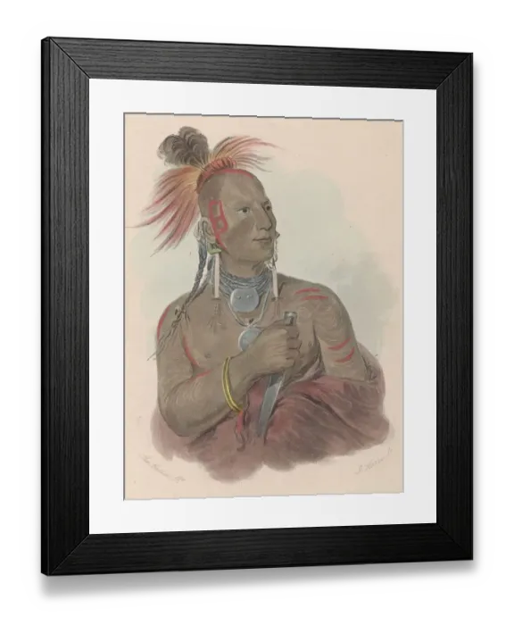 Framed Print : White Bear Framed Print : White Bear