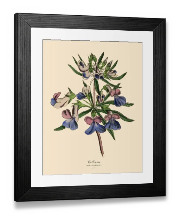 Framed Print : 19th Century Art Framed Print : 19th Century Art