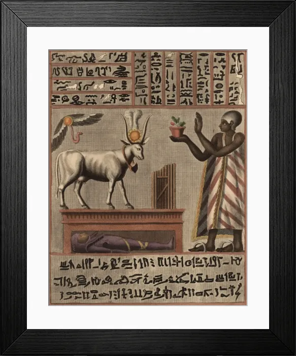 Framed Print : Egyptian Inscription Framed Print : Egyptian Inscription
