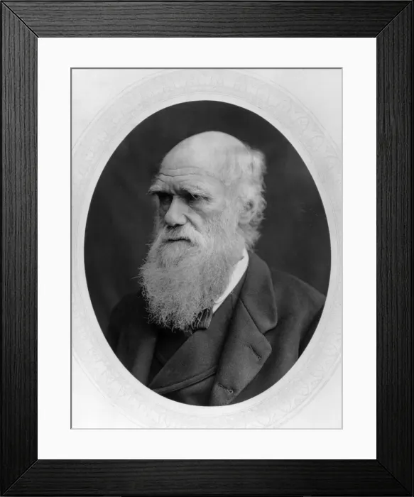 Framed Print : Charles Darwin