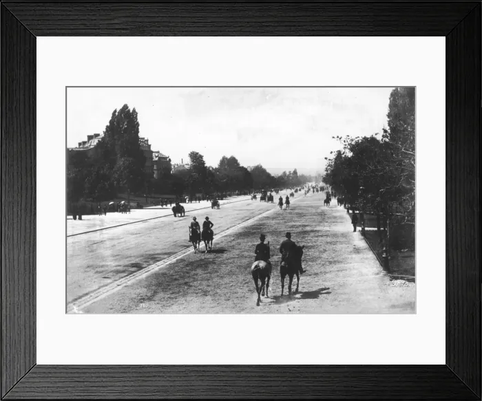 Framed Print : Paris Avenue Framed Print : Paris Avenue