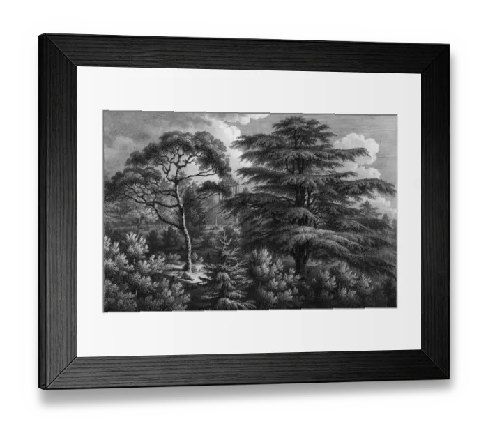 Framed Print : Jardin Des Plantes Framed Print : Jardin Des Plantes