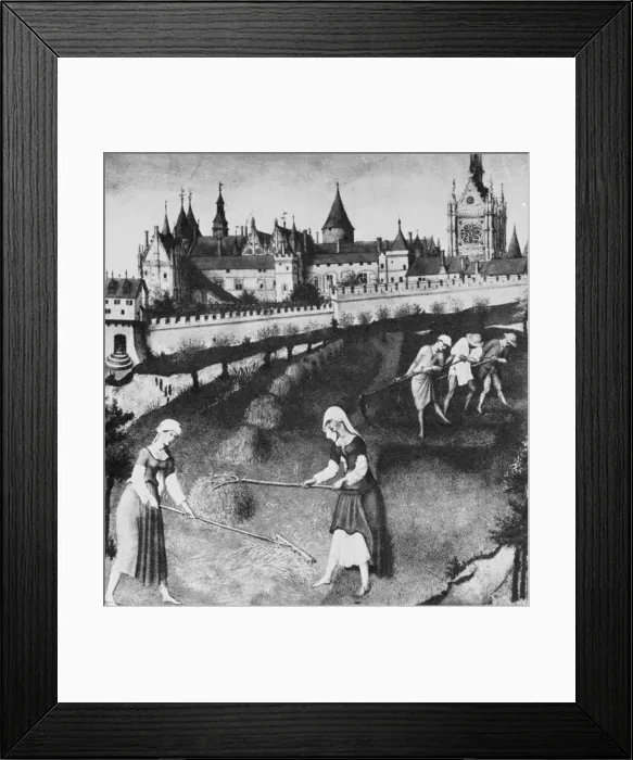 Framed Print : Haymaking. French farmers haymaking in a field with the Palais de Justice