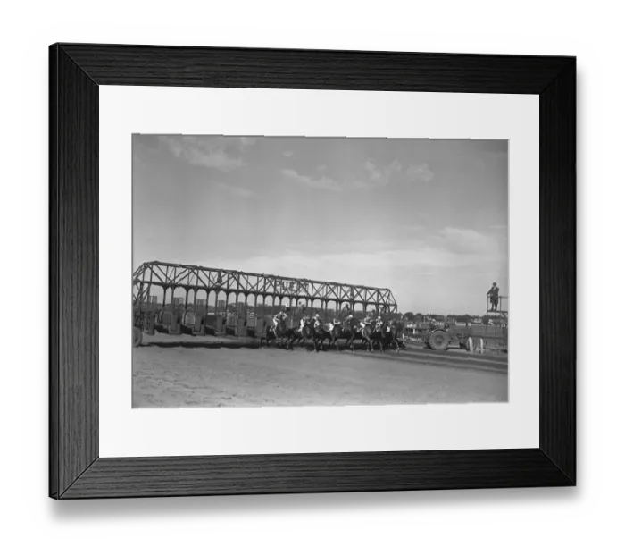 Framed Print : Racehorses coming out of starting gate, (B&W) Framed Print : Racehorses coming out of starting gate, (B&W)