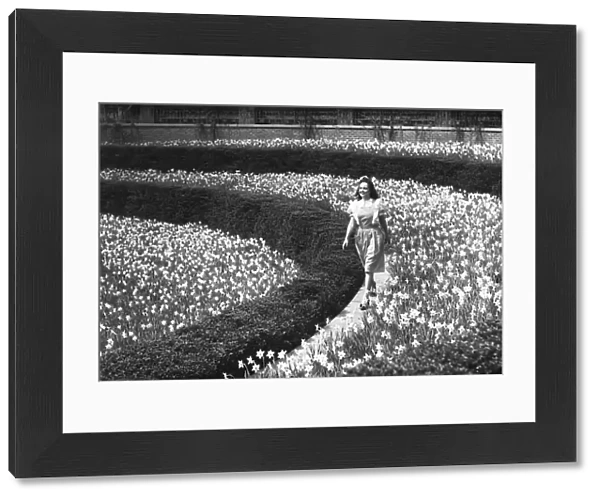 Woman walking on flowerbed, (B&W)