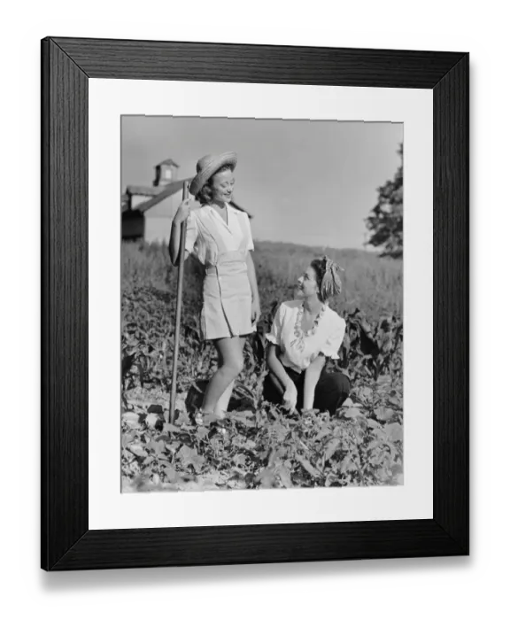 Framed Print : Two women gardening in field Framed Print : Two women gardening in field