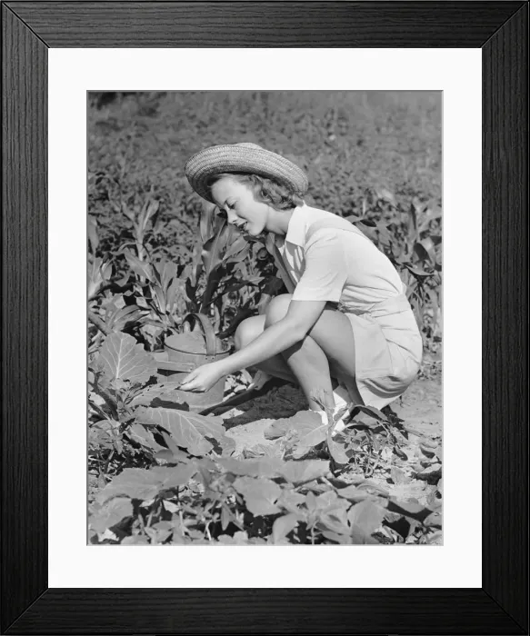 Framed Print : Woman working in garden