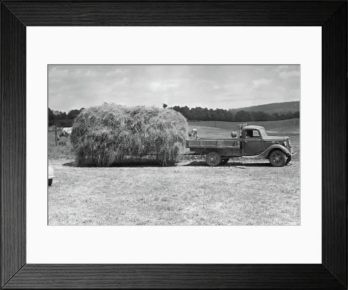 Framed Print : Farm scene Framed Print : Farm scene