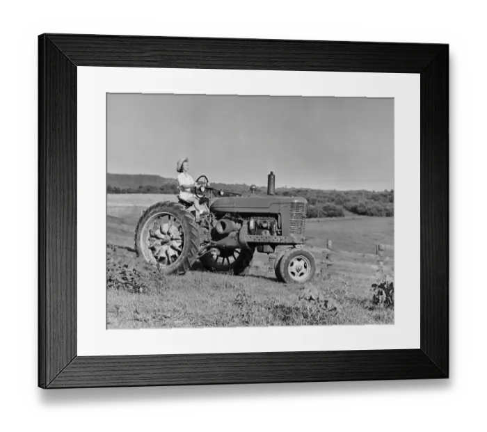 Framed Print : Woman farmer driving tractor Framed Print : Woman farmer driving tractor